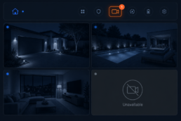 Reolink offline cameras