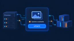 Featured image - Immich update