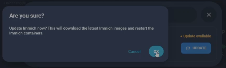 Immich - Update start